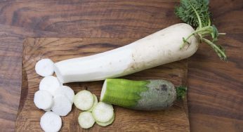 Daikon: tutto quello che c’è da sapere sulla radice brucia grassi