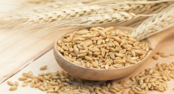 Dieta per dimagrire, ecco il nuovo ruolo assegnato ai carboidrati