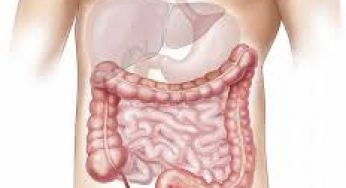 La colite può essere un sintomo di alterazioni del metabolismo