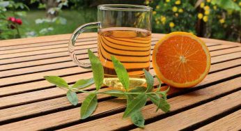 Ipertensione, dieci erbe per tisane che abbassano la pressione